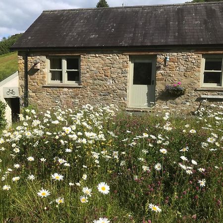Danygraig Cottage Carmarthen Exteriér fotografie