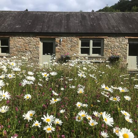Danygraig Cottage Carmarthen Exteriér fotografie