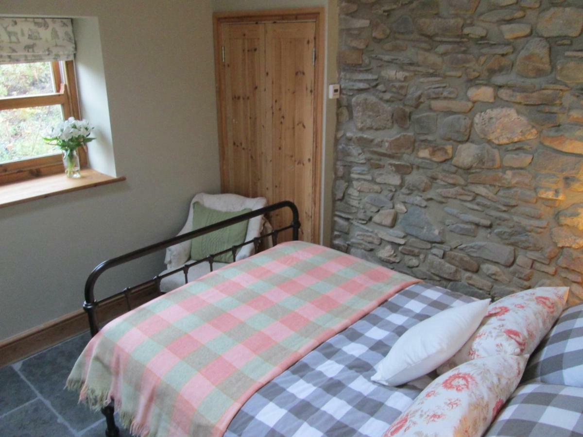 Danygraig Cottage Carmarthen Exteriér fotografie